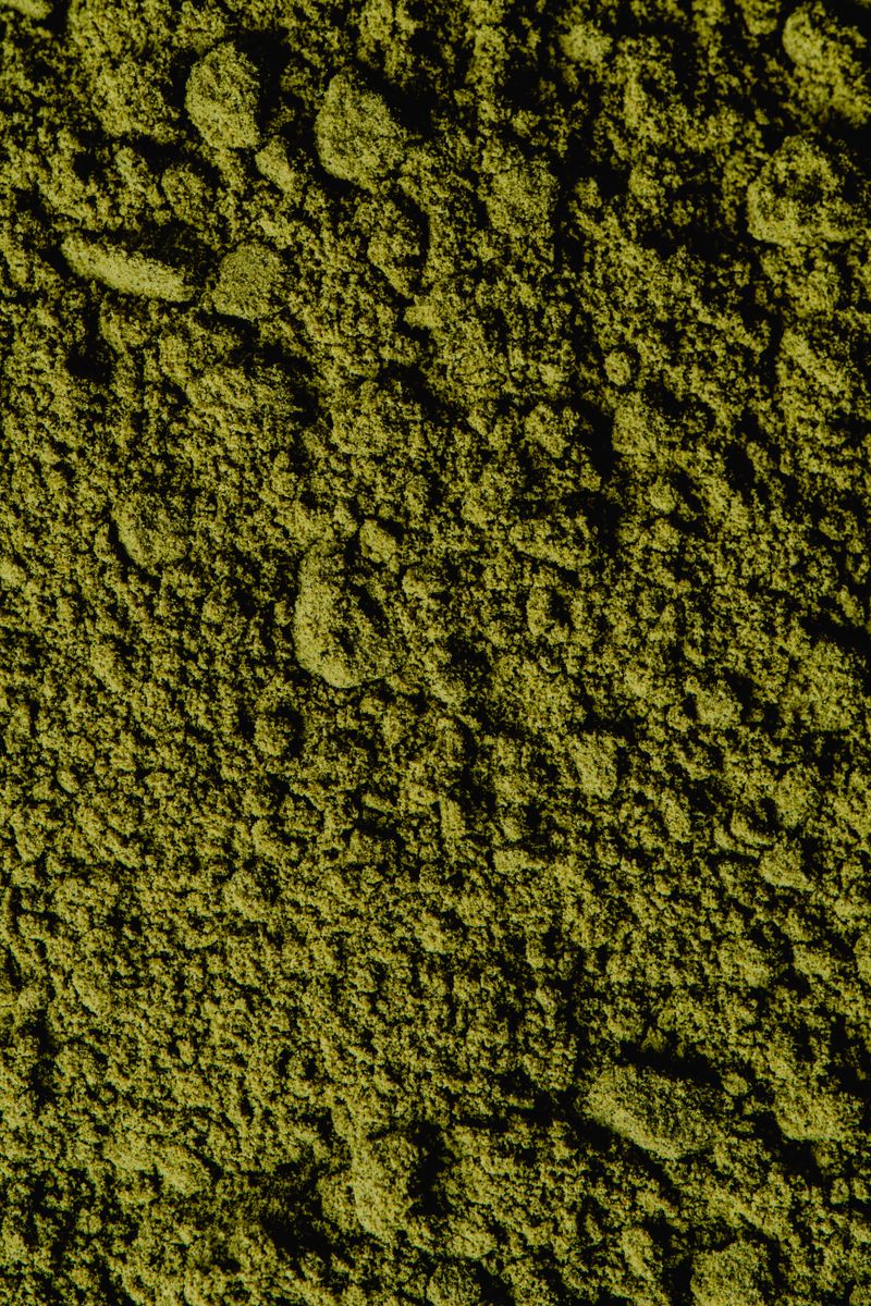 Spiruline en poudre super-aliment